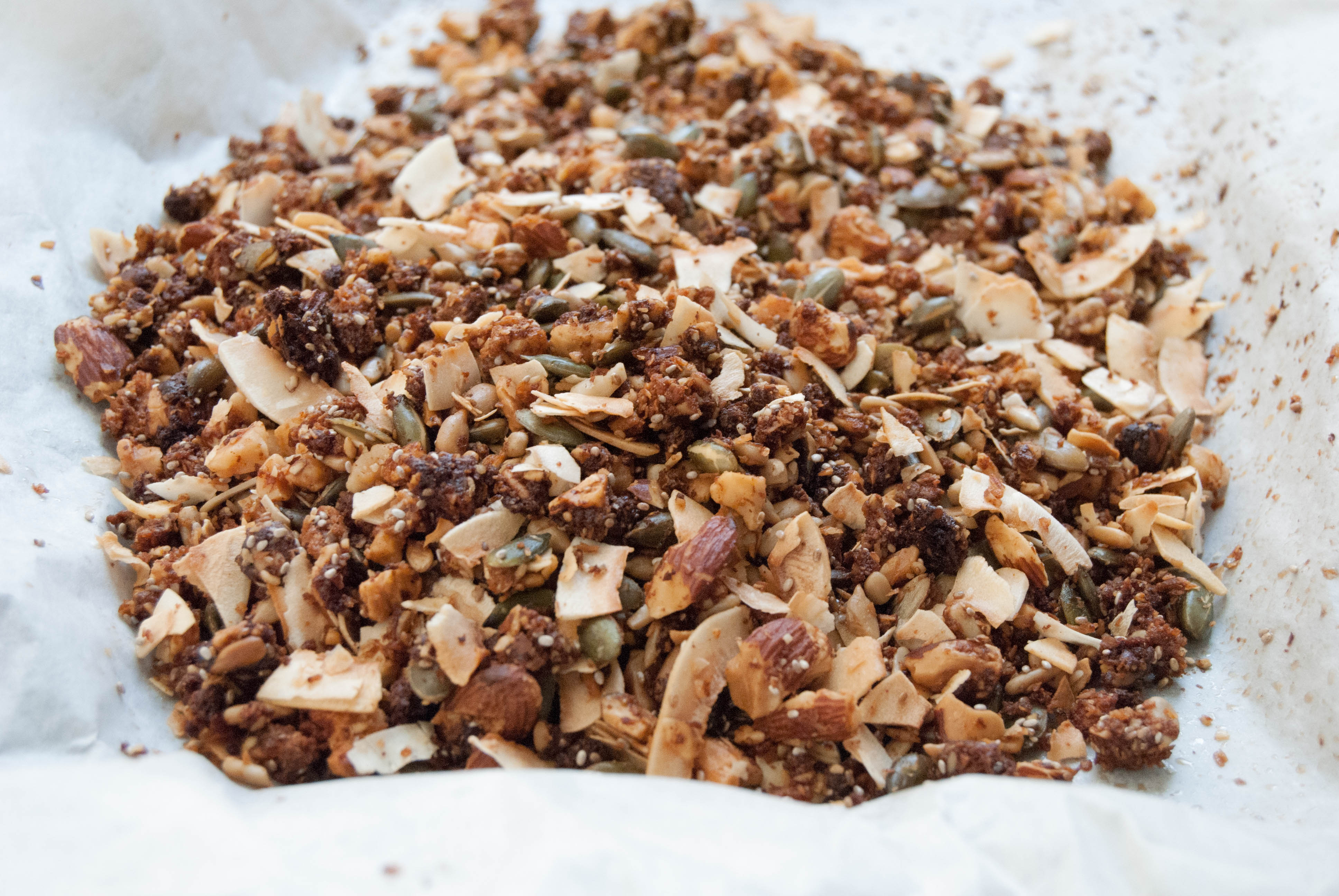 Paleo granola di frutta secca e semi